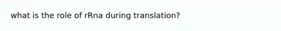 what is the role of rRna during translation?