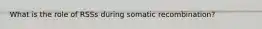 What is the role of RSSs during somatic recombination?