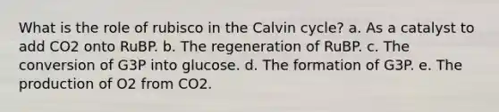 What is the role of rubisco in the Calvin cycle? a. As a catalyst to add CO2 onto RuBP. b. The regeneration of RuBP. c. The conversion of G3P into glucose. d. The formation of G3P. e. The production of O2 from CO2.