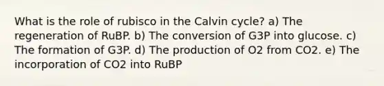 What is the role of rubisco in the Calvin cycle? a) The regeneration of RuBP. b) The conversion of G3P into glucose. c) The formation of G3P. d) The production of O2 from CO2. e) The incorporation of CO2 into RuBP