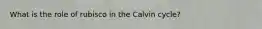 What is the role of rubisco in the Calvin cycle?