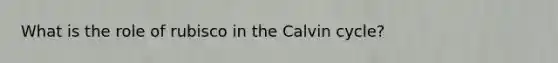 What is the role of rubisco in the Calvin cycle?