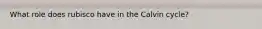 What role does rubisco have in the Calvin cycle?