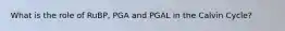 What is the role of RuBP, PGA and PGAL in the Calvin Cycle?