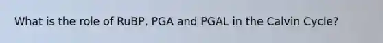 What is the role of RuBP, PGA and PGAL in the Calvin Cycle?