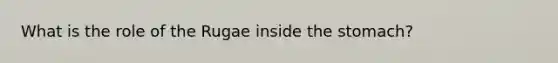 What is the role of the Rugae inside the stomach?