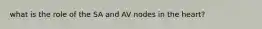 what is the role of the SA and AV nodes in the heart?