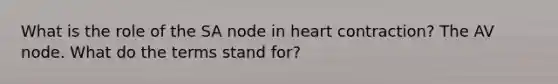 What is the role of the SA node in heart contraction? The AV node. What do the terms stand for?