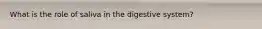 What is the role of saliva in the digestive system?