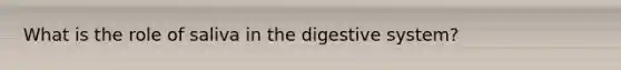 What is the role of saliva in the digestive system?