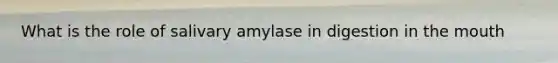 What is the role of salivary amylase in digestion in the mouth