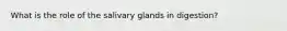 What is the role of the salivary glands in digestion?