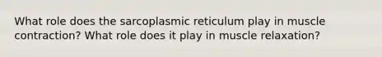 What role does the sarcoplasmic reticulum play in muscle contraction? What role does it play in muscle relaxation?