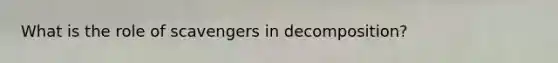 What is the role of scavengers in decomposition?