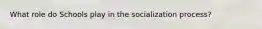 What role do Schools play in the socialization process?