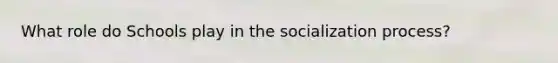 What role do Schools play in the socialization process?