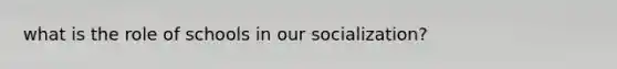 what is the role of schools in our socialization?