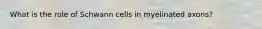 What is the role of Schwann cells in myelinated axons?