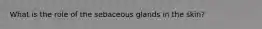 What is the role of the sebaceous glands in the skin?