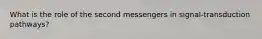 What is the role of the second messengers in signal-transduction pathways?