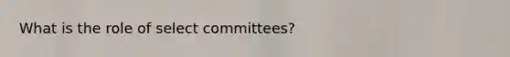 What is the role of select committees?