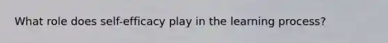 What role does self-efficacy play in the learning process?