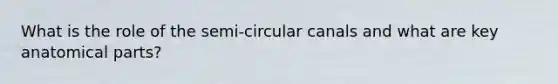 What is the role of the semi-circular canals and what are key anatomical parts?