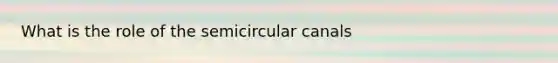 What is the role of the semicircular canals