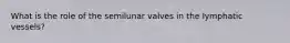 What is the role of the semilunar valves in the lymphatic vessels?