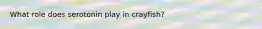 What role does serotonin play in crayfish?