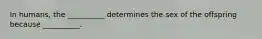 In humans, the __________ determines the sex of the offspring because __________.