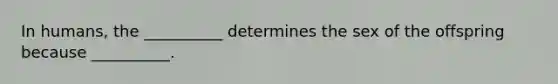 In humans, the __________ determines the sex of the offspring because __________.