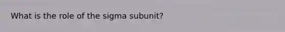 What is the role of the sigma subunit?