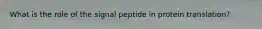 What is the role of the signal peptide in protein translation?