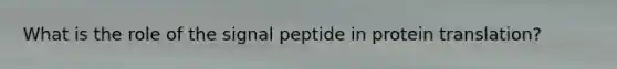 What is the role of the signal peptide in protein translation?