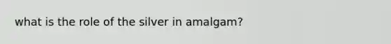 what is the role of the silver in amalgam?