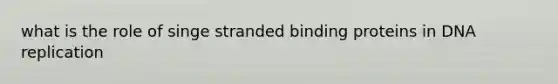 what is the role of singe stranded binding proteins in <a href='https://www.questionai.com/knowledge/kofV2VQU2J-dna-replication' class='anchor-knowledge'>dna replication</a>