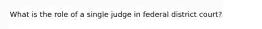 What is the role of a single judge in federal district court?