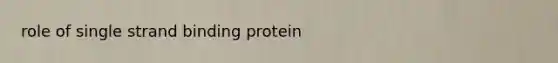 role of single strand binding protein