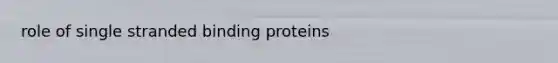 role of single stranded binding proteins