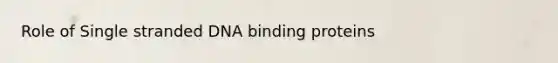 Role of Single stranded DNA binding proteins