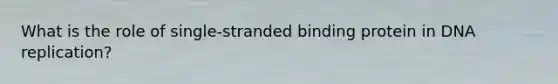 What is the role of single-stranded binding protein in <a href='https://www.questionai.com/knowledge/kofV2VQU2J-dna-replication' class='anchor-knowledge'>dna replication</a>?