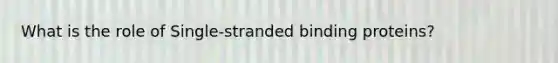 What is the role of Single-stranded binding proteins?