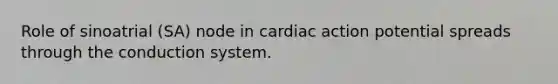 Role of sinoatrial (SA) node in cardiac action potential spreads through the conduction system.