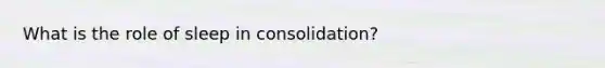 What is the role of sleep in consolidation?