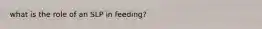 what is the role of an SLP in feeding?