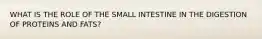 WHAT IS THE ROLE OF THE SMALL INTESTINE IN THE DIGESTION OF PROTEINS AND FATS?