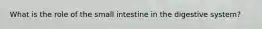 What is the role of the small intestine in the digestive system?