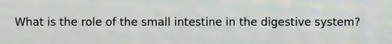 What is the role of the small intestine in the digestive system?