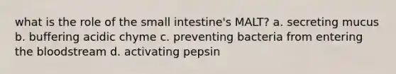 what is the role of the small intestine's MALT? a. secreting mucus b. buffering acidic chyme c. preventing bacteria from entering the bloodstream d. activating pepsin